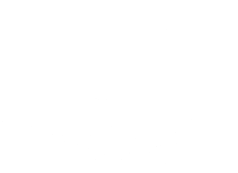 Cumann Rince Náisiúnta Logo